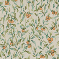 Samples - Aura  Fabric Sample Swatch Moss Voyage Maison