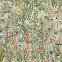 Samples - Mangrove  Fabric Sample Swatch Green Voyage Maison