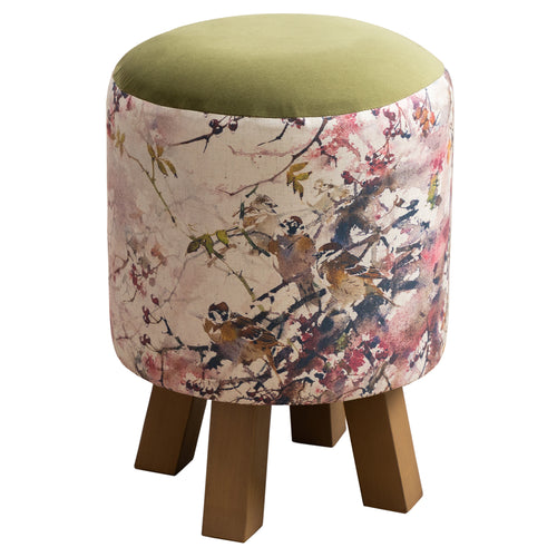 Floral Pink Furniture - Monty Round Footstool Brushwood Blossom Darren Woodhead