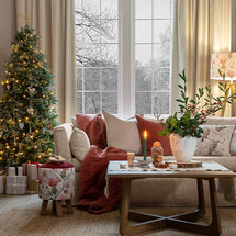 Traditional Christmas