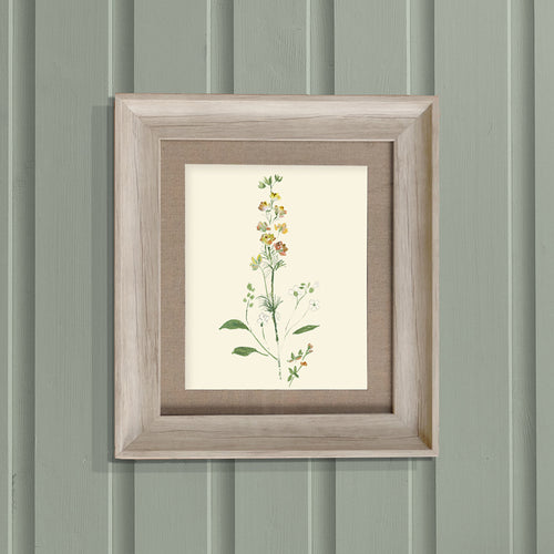 Animal Yellow Wall Art - Bonnie  Framed Print Birch Voyage Maison
