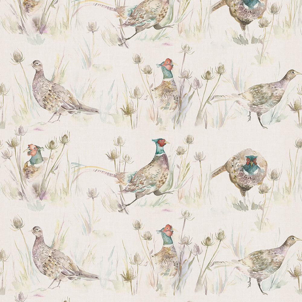 Pheasant with unique colors among magnificent natural colors HD wallpaper  download