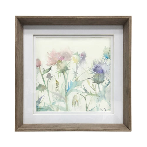 Cirsium Framed Print Nut