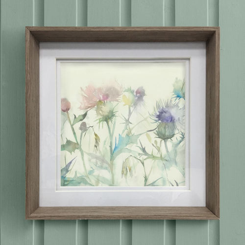 Cirsium Framed Print Nut