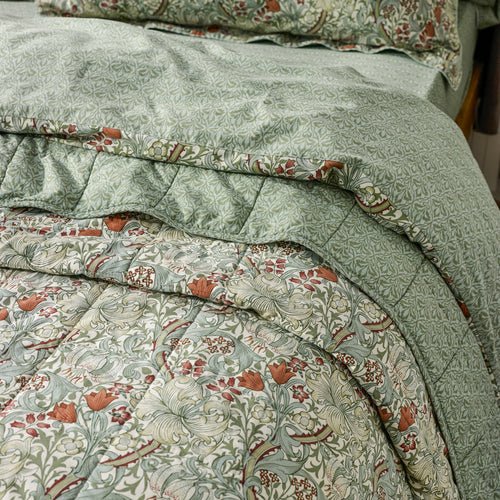 Damask Green Bedding - Golden Lily 100% Cotton Quilted Bedspread Herbal Green Morris & Co