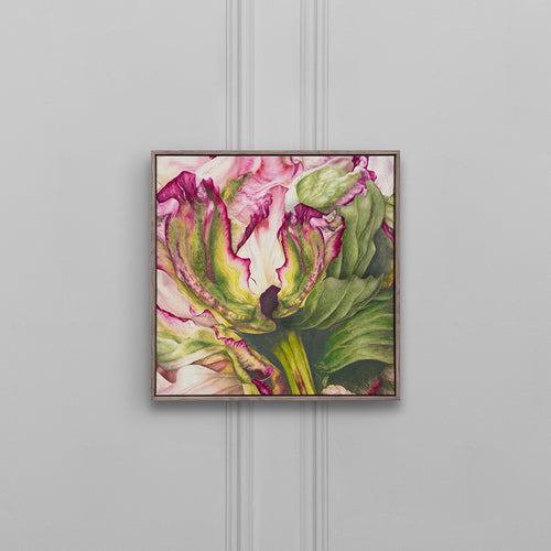 Floral Pink Wall Art - Heligan Fuchsia  Framed Canvas Stone Voyage Maison