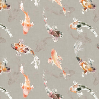 500 Koi Fish Pictures and Images for Free  Pixabay