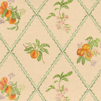  Samples - Peach Trellis  Fabric Sample Swatch Melba Voyage Maison