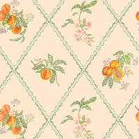  Samples - Peach Trellis  Wallpaper Sample Melba Voyage Maison