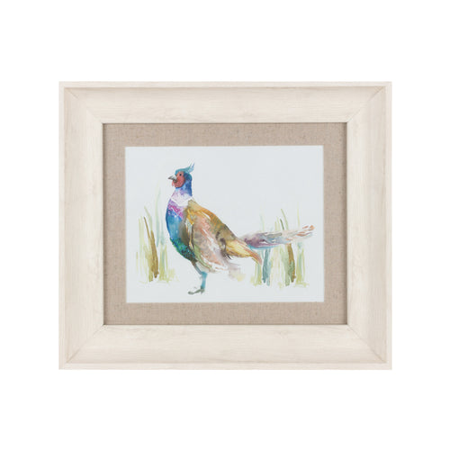 Ringneck Pheasant Framed Print Birch (A-Grade)