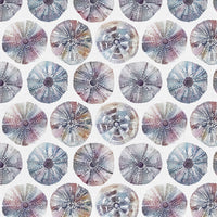  Samples - Sea Urchin Printed Fabric Sample Swatch Abalone Voyage Maison
