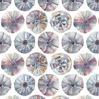  Samples - Sea Urchin  Wallpaper Sample Abalone Voyage Maison