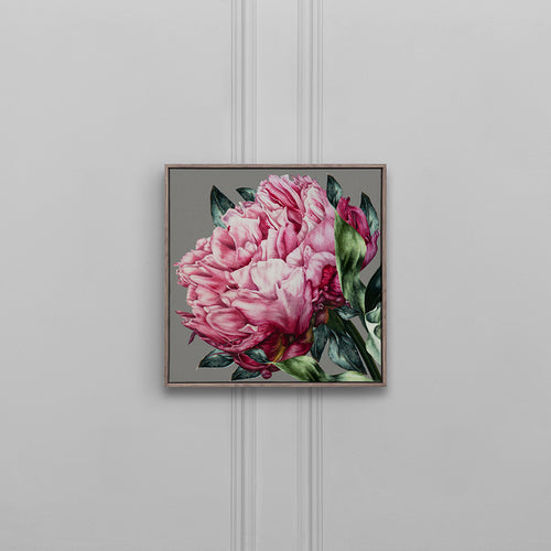 Floral Pink Wall Art - Sennan  Framed Canvas Stone Voyage Maison