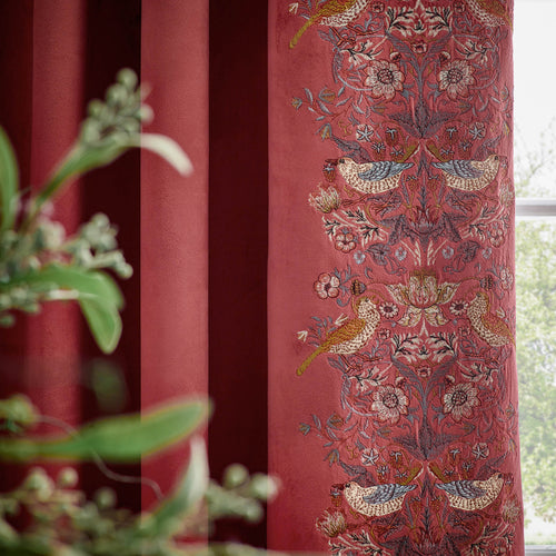 Animal Red Curtains - Strawberry Thief Embroidered Floral Velvet Pencil Pleat Curtains Berry Morris & Co