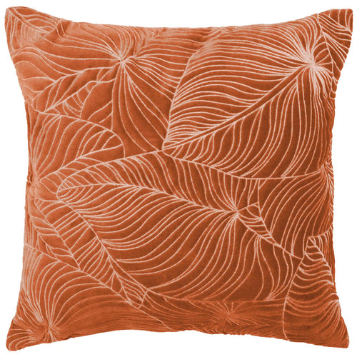 Additions Taro Embroidered Feather Cushion in Sunset