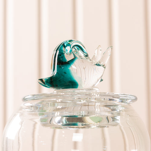 Glass Snail Lid Jar Aqua (A-Grade)