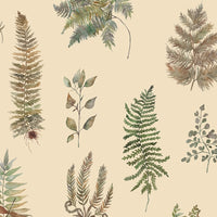  Samples - Verbena  Wallpaper Sample Mulberry Voyage Maison