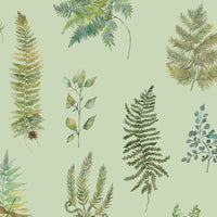  Samples - Verbena  Wallpaper Sample Sage Voyage Maison